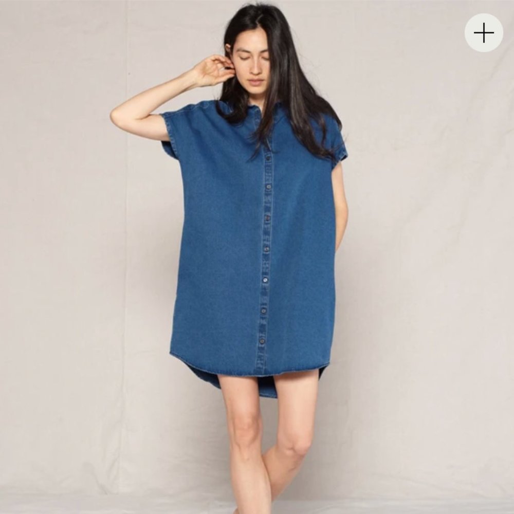Outerknown Denim Bee Shirt Dress